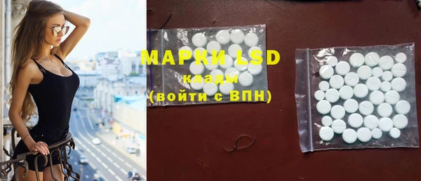 индика Белокуриха