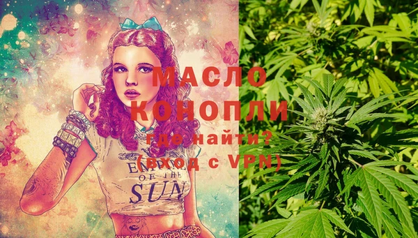 индика Белокуриха