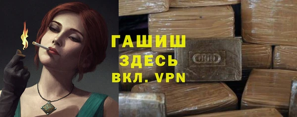 индика Белокуриха