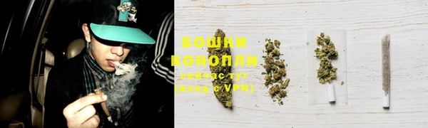 прущие крисы Беломорск