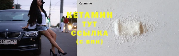 индика Белокуриха