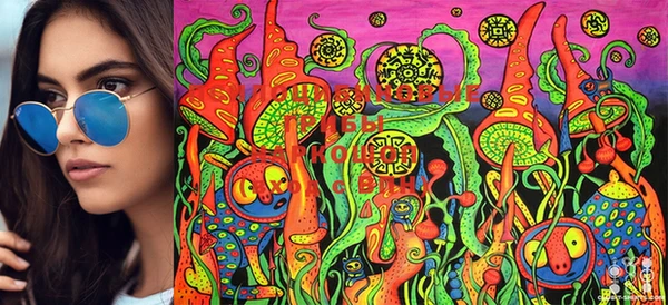 марки lsd Белоозёрский