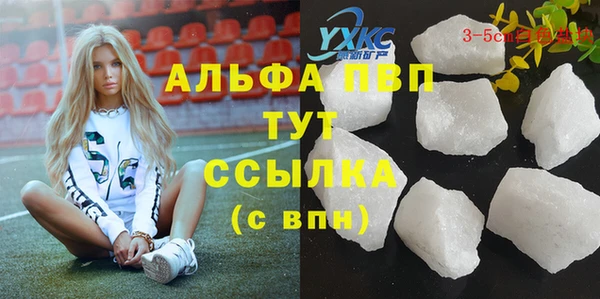 прущие крисы Беломорск