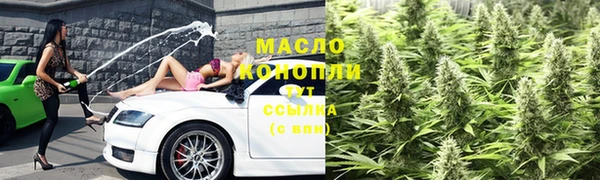 индика Белокуриха