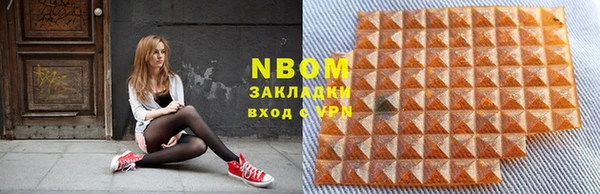 индика Белокуриха